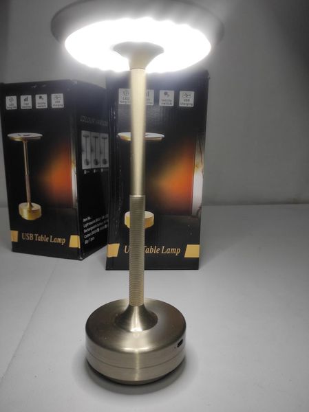 Настільна лампа акумуляторна, інтер'єрний ліхтарик металевий, лампа настільна LED 4 режими сенсорний DESK LAMP USB - greyMet фото